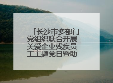 长沙市多部门党组织联合开展关爱企业残疾员工主题党日暨助残日特别活动