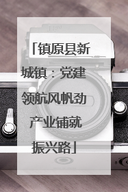 镇原县新城镇：党建领航风帆劲 产业铺就振兴路