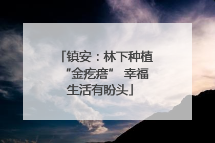 镇安：林下种植“金疙瘩” 幸福生活有盼头
