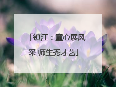 镇江：童心展风采 师生秀才艺