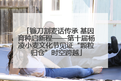 镰刀割麦话传承 基因育种启新程——第十届杨凌小麦文化节见证“颗粒归仓”时空跨越