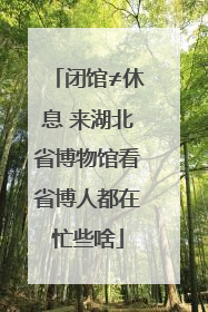 闭馆≠休息 来湖北省博物馆看省博人都在忙些啥