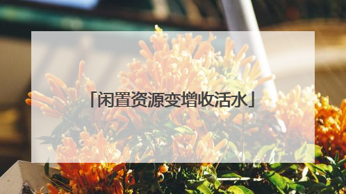 闲置资源变增收活水