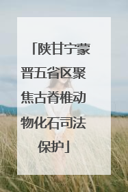 陕甘宁蒙晋五省区聚焦古脊椎动物化石司法保护