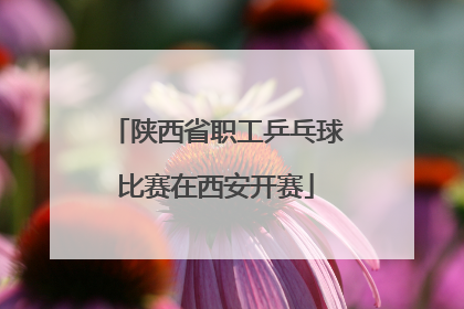 陕西省职工乒乓球比赛在西安开赛