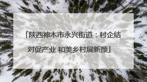 陕西神木市永兴街道：村企结对促产业 和美乡村展新颜