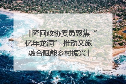 隆回政协委员聚焦“亿年龙洞” 推动文旅融合赋能乡村振兴
