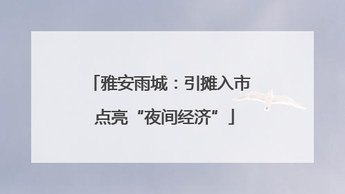 雅安雨城：引摊入市 点亮“夜间经济”