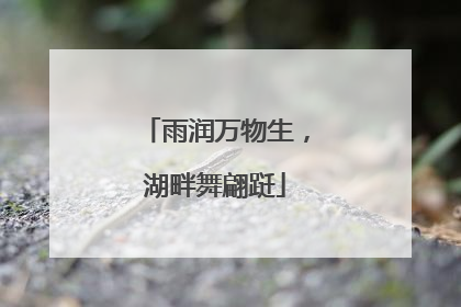 雨润万物生，湖畔舞翩跹