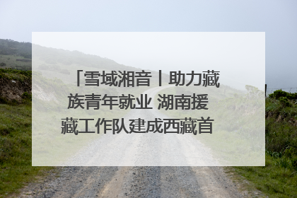 雪域湘音丨助力藏族青年就业 湖南援藏工作队建成西藏首个清洁能源装备园