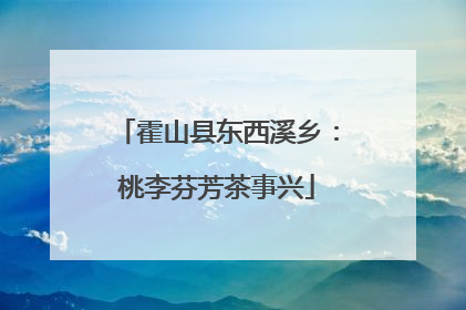 霍山县东西溪乡：桃李芬芳茶事兴