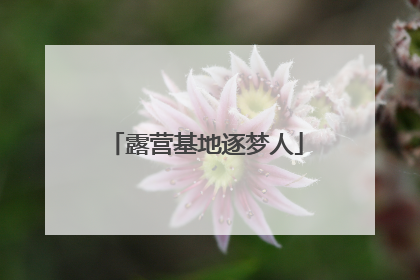 露营基地逐梦人