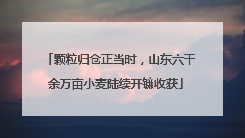 颗粒归仓正当时，山东六千余万亩小麦陆续开镰收获