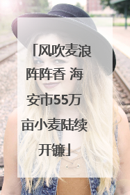 风吹麦浪阵阵香 海安市55万亩小麦陆续开镰
