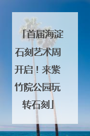 首届海淀石刻艺术周开启！来紫竹院公园玩转石刻