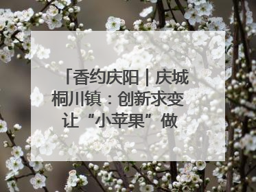 香约庆阳｜庆城桐川镇：创新求变 让“小苹果”做成“大产业”