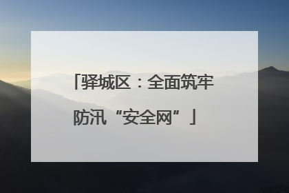 驿城区：全面筑牢防汛“安全网”