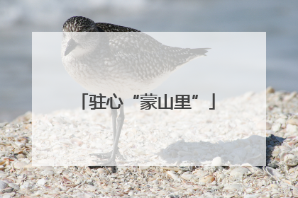 驻心“蒙山里”