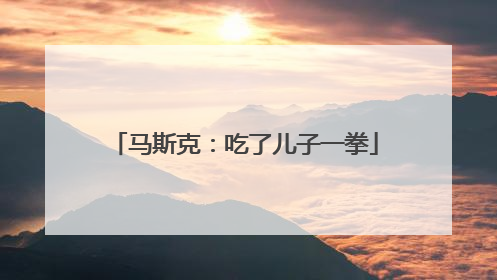 马斯克：吃了儿子一拳