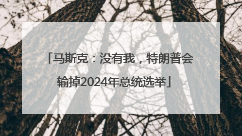 马斯克：没有我，特朗普会输掉2024年总统选举