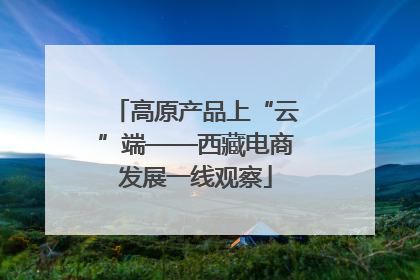高原产品上“云”端——西藏电商发展一线观察