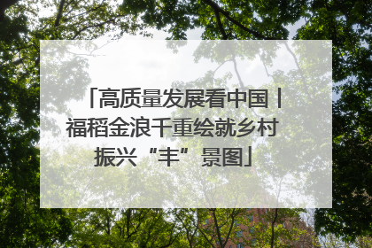 高质量发展看中国丨福稻金浪千重绘就乡村振兴“丰”景图