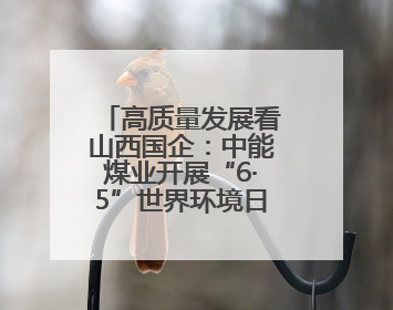 高质量发展看山西国企：中能煤业开展“6·5”世界环境日专题宣传活动 共筑绿色矿山