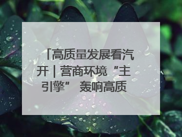 高质量发展看汽开｜营商环境“主引擎” 轰响高质量发展新赛道