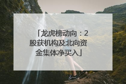 龙虎榜动向：2股获机构及北向资金集体净买入