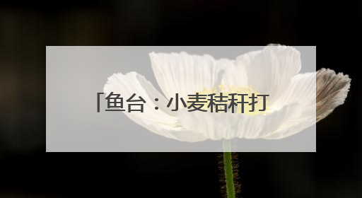 鱼台：小麦秸秆打捆离田综合利用