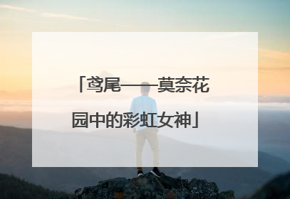 鸢尾——莫奈花园中的彩虹女神