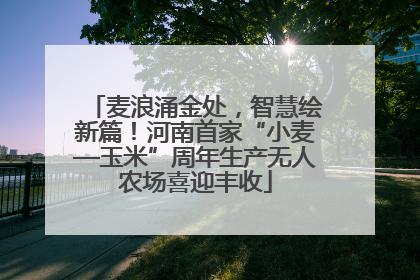 麦浪涌金处，智慧绘新篇！河南首家“小麦—玉米”周年生产无人农场喜迎丰收