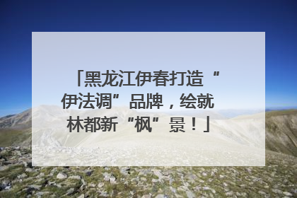 黑龙江伊春打造“伊法调”品牌，绘就林都新“枫”景！