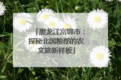 黑龙江富锦市：探秘北国粮都的农文旅新样板