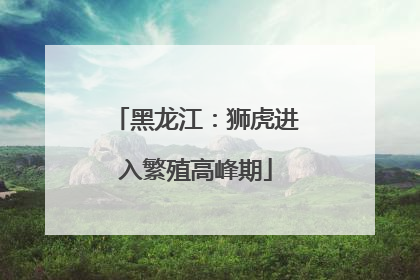 黑龙江：狮虎进入繁殖高峰期
