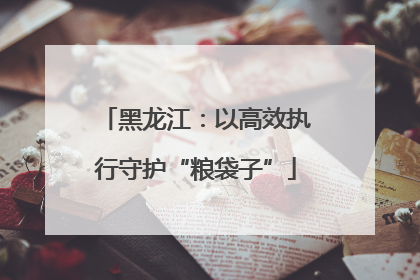 黑龙江：以高效执行守护“粮袋子”