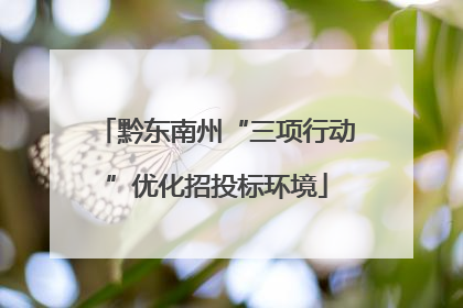 黔东南州“三项行动”优化招投标环境