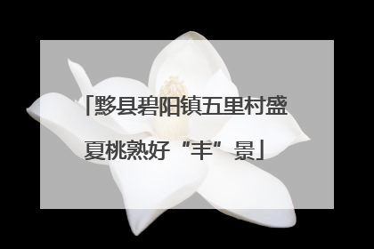 黟县碧阳镇五里村盛夏桃熟好“丰”景