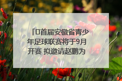 ﻿首届安徽省青少年足球联赛将于9月开赛 拟邀请赵鹏为先导赛开球