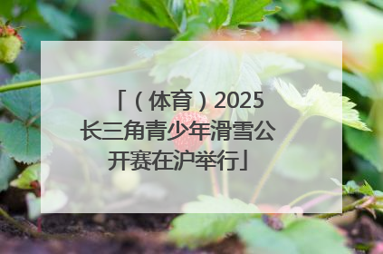 （体育）2025长三角青少年滑雪公开赛在沪举行