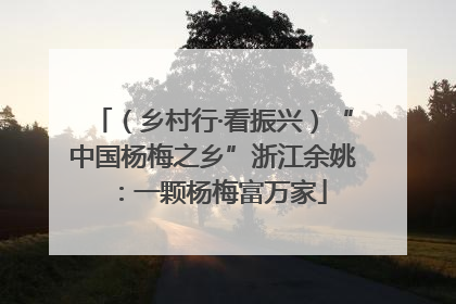 （乡村行·看振兴）“中国杨梅之乡”浙江余姚：一颗杨梅富万家