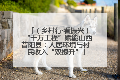 （乡村行·看振兴）“千万工程”赋能山西昔阳县：人居环境与村民收入“双提升”