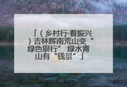 （乡村行·看振兴）吉林辉南荒山变“绿色银行” 绿水青山有“钱景”
