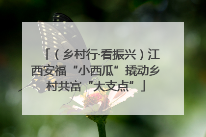 （乡村行·看振兴）江西安福“小西瓜”撬动乡村共富“大支点”