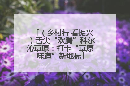 （乡村行·看振兴）舌尖“欢腾”科尔沁草原：打卡“草原味道”新地标