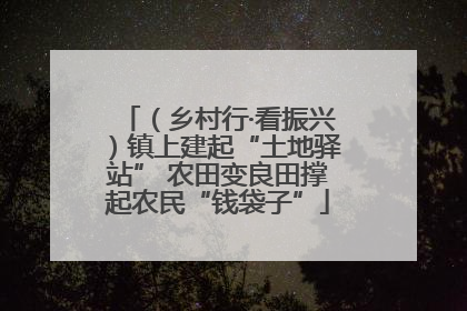 （乡村行·看振兴）镇上建起“土地驿站” 农田变良田撑起农民“钱袋子”