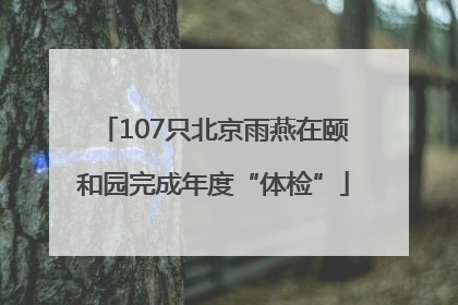 107只北京雨燕在颐和园完成年度“体检”