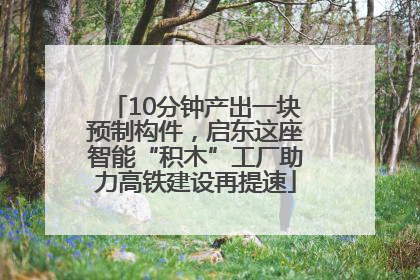 10分钟产出一块预制构件，启东这座智能“积木”工厂助力高铁建设再提速