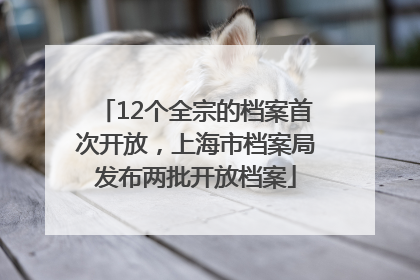 12个全宗的档案首次开放，上海市档案局发布两批开放档案