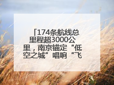 174条航线总里程超3000公里，南京锚定“低空之城”唱响“飞得更高”
